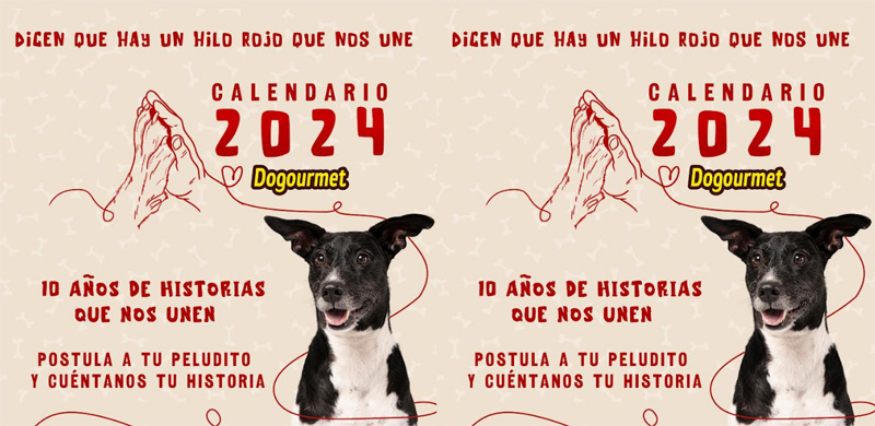 Portugalete estrena su primer parque canino