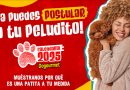 El Calendario Dogourmet 2025 busca patitas a la medida