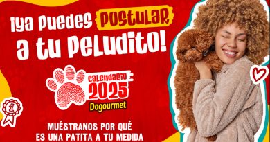 El Calendario Dogourmet 2025 busca patitas a la medida