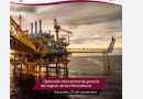 ¿Hay oportunidades para la empresa privada en el crecimiento endógeno del sector hidrocarburos?