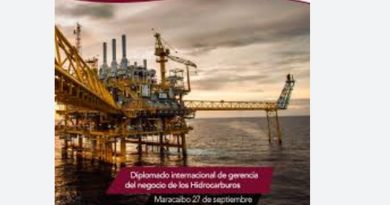 ¿Hay oportunidades para la empresa privada en el crecimiento endógeno del sector hidrocarburos?