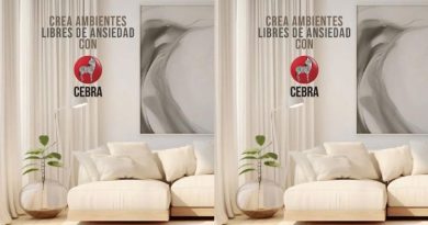 Pinturas Cebras: Minimalismo y clima frío son las tendencias que abrigan el 2025