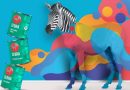 Cebra: el aliado de arquitectos, diseñadores y artistas