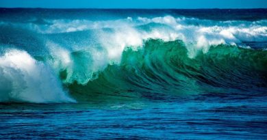 Día Mundial de los Océanos, una fecha dedicada a reconocer la mayor maravilla de la naturaleza