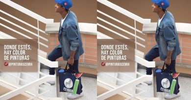Cebra: Descubre las diferencias entre pinturas de caucho y esmalte