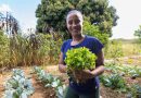 Tres historias de recuperación de la biodiversidad en América Latina
