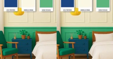 Cebra: «La creatividad y el equilibrio son dos factores para llevar tendencia al hogar»