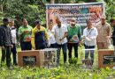 Pareja de cunaguaros fue liberada en una reserva ecológica del estado Portuguesa