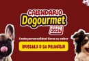 En el Calendario Dogourmet 2026 cada de los peluditos tiene un sabor personalidad 