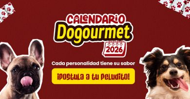 En el Calendario Dogourmet 2026 cada de los peluditos tiene un sabor personalidad 