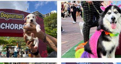 Caracas celebró el Calendario Dogourmet 2026 con más de 900 peluditos