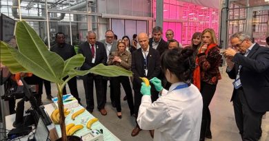 La FAO impulsa la innovación mediante soluciones de ciencia nuclear en regiones de todo el mundo