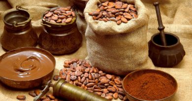 UE invita a productores de café y cacao venezolanos a seminario sobre nuevas normas de deforestación (EUDR)