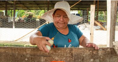 Informe de la ONU: América Latina y el Caribe avanza en la erradicación del hambre por cuarto año consecutivo