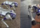 Chacao incorporó perros robot para patrullaje en plazas