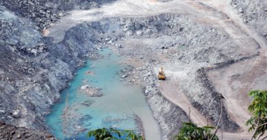 América Latina se suma a la carrera por las tierras raras