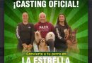 Expo Mascotas 2026: ¡Cesar Millán abre Casting Oficial!