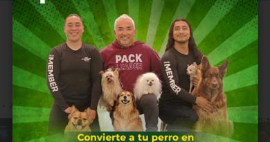 Expo Mascotas 2026: ¡Cesar Millán abre Casting Oficial!