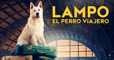 El Euroscopio se instala gratis en el CCAM