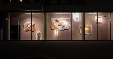 Lucía Pizzani presenta exposición ‘Faunal Succession’ en el Reino Unido