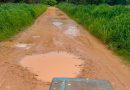 ¡Emergencia en Barinas! Crisis de vialidad y la falta de insumos asfixian la producción agropecuaria