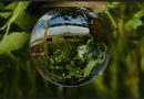 Día de la Tierra 2026: “Nuestro poder, nuestro planeta” marca un enfoque global de acción climática