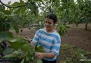 FAO impulsa relevo generacional en la agricultura familiar con inclusión digital y financiera