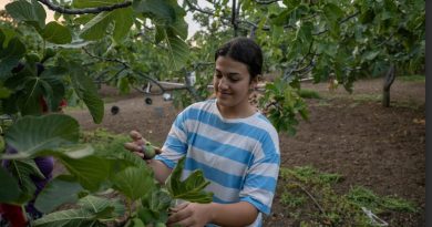 FAO impulsa relevo generacional en la agricultura familiar con inclusión digital y financiera