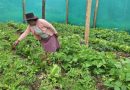 Cuidar la biodiversidad no es una opción sino la llave para la sobrevivencia en América Latina