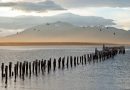 La gobernanza oceánica indígena de Chile está en una encrucijada