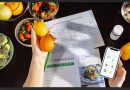 Una nutrición personalizada es esencial para una longevidad activa y saludable