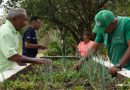 De la emergencia a la recuperación: se fortalece la producción agrícola en Apure