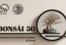 BONSÁI 50: Arte ancestral y vanguardia tecnológica se conjugan en el CCAM