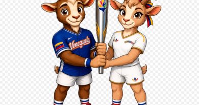 Chika y Cheom son las mascotas  de los  «Juegos Deportivos Nacionales Estudiantiles 2026»