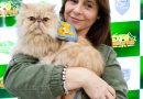  ¡Expo Mascotas 2026! reunió en un solo espacio todo el universo del cuidado animal