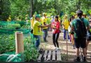 Voluntarios sembraron más de 800 plantas en Parque Municipal Cerro El Casupo