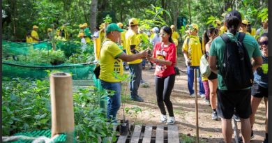 Voluntarios sembraron más de 800 plantas en Parque Municipal Cerro El Casupo