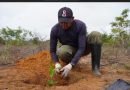 FAO aportará más de 1,5 millones de plántulas al Plan de Reforestación Chuquisaca