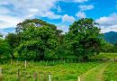 Adoptar la tecnología para generar riqueza agrícola plantea la Sociedad de Agrónomos