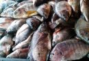 La pesca salvadoreña navega entre la contaminación y el abandono