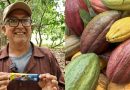 NESTLÉ® y SAVOY® impactan a más de 3.000 productores de cacao, impulsando el desarrollo del sector