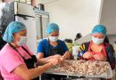 Alianza Ciudadana impulsa «Raciones Tácticas de Contigencia” para optimizar la ayuda humanitaria tras los terremotos