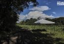 Parque solar en Colombia genera rechazo por tala de miles de árboles