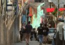 Bajo el Árbol activa cadena de solidaridad: brindan asistencia directa a familias y refugios tras los recientes sismos