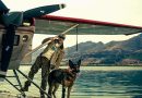 Paramount Pictures presentó un nuevo tráiler de «El Corazón de La Bestia»