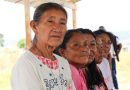 Guardianas del Ekatón: Partería Pemón y el arte sagrado de salvaguardar la vida en la Gran Sabana