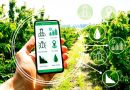 Agroo seleccionada por IICA entre las 15 mejores aplicaciones tecnológicas agroalimentarias