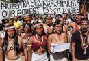 Ecuador castiga a los protectores del parque nacional Yasuní