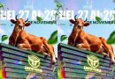 La Expoferia Ganadera y Agrícola 2026 llega a Caracas