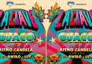 La Clave anuncia el evento “Nos volvemos a encontrar”, un reencuentro que celebra la vida y la solidaridad